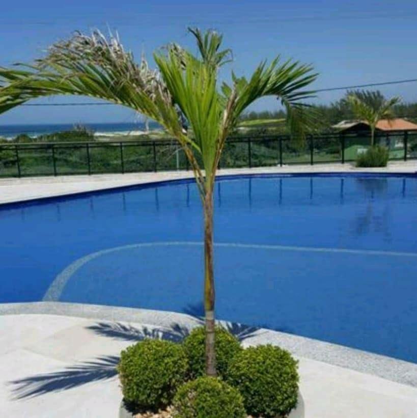 Le Bon Vivant Arraial Do Cabo 405 Bl A Exterior foto